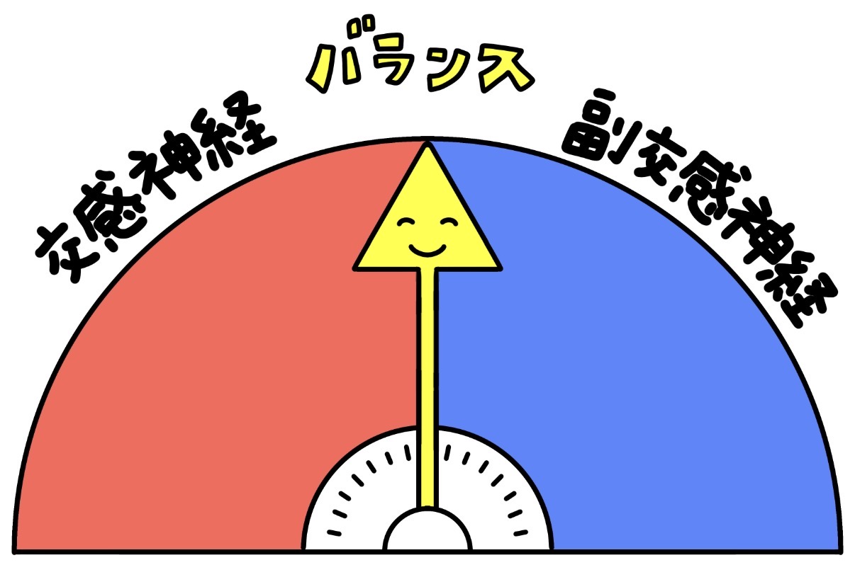 美容鍼で自律神経もアプローチ